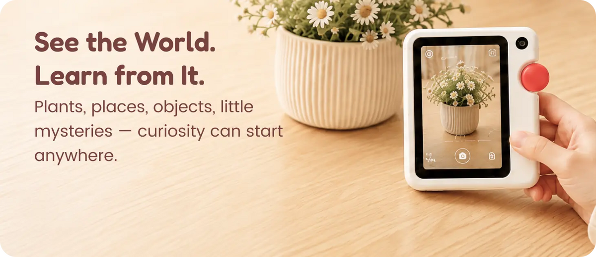 See the World.Learn from It.