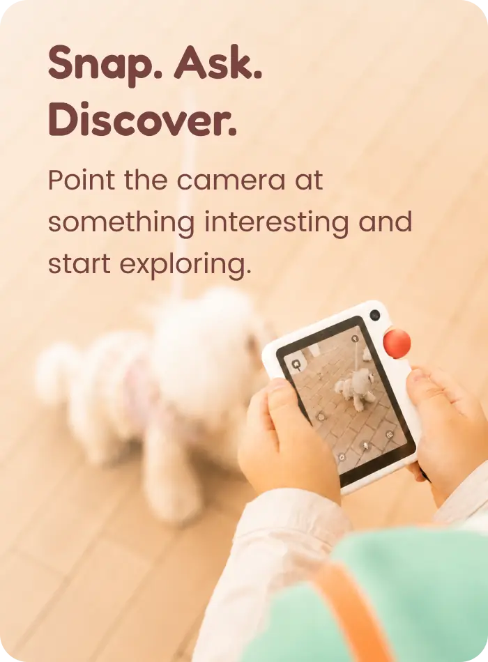 Snap. Ask. Discover.